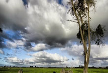 熊猫体育官网：[欧冠]1／4决赛次回合：多特蒙德VS马德里竞技.