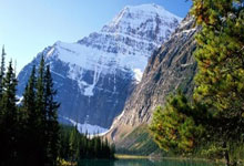 巴哈父子:为摩洛哥而战.