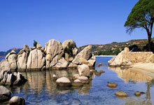 熊猫体育官网：新华社快讯丨荷兰队打破短道速滑混合团体接力世界纪录.